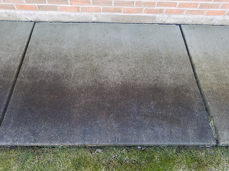 Gutter Cleaning Before