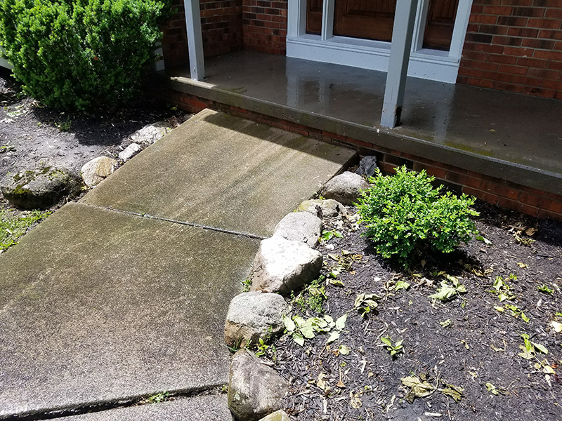 Gutter Cleaning Before